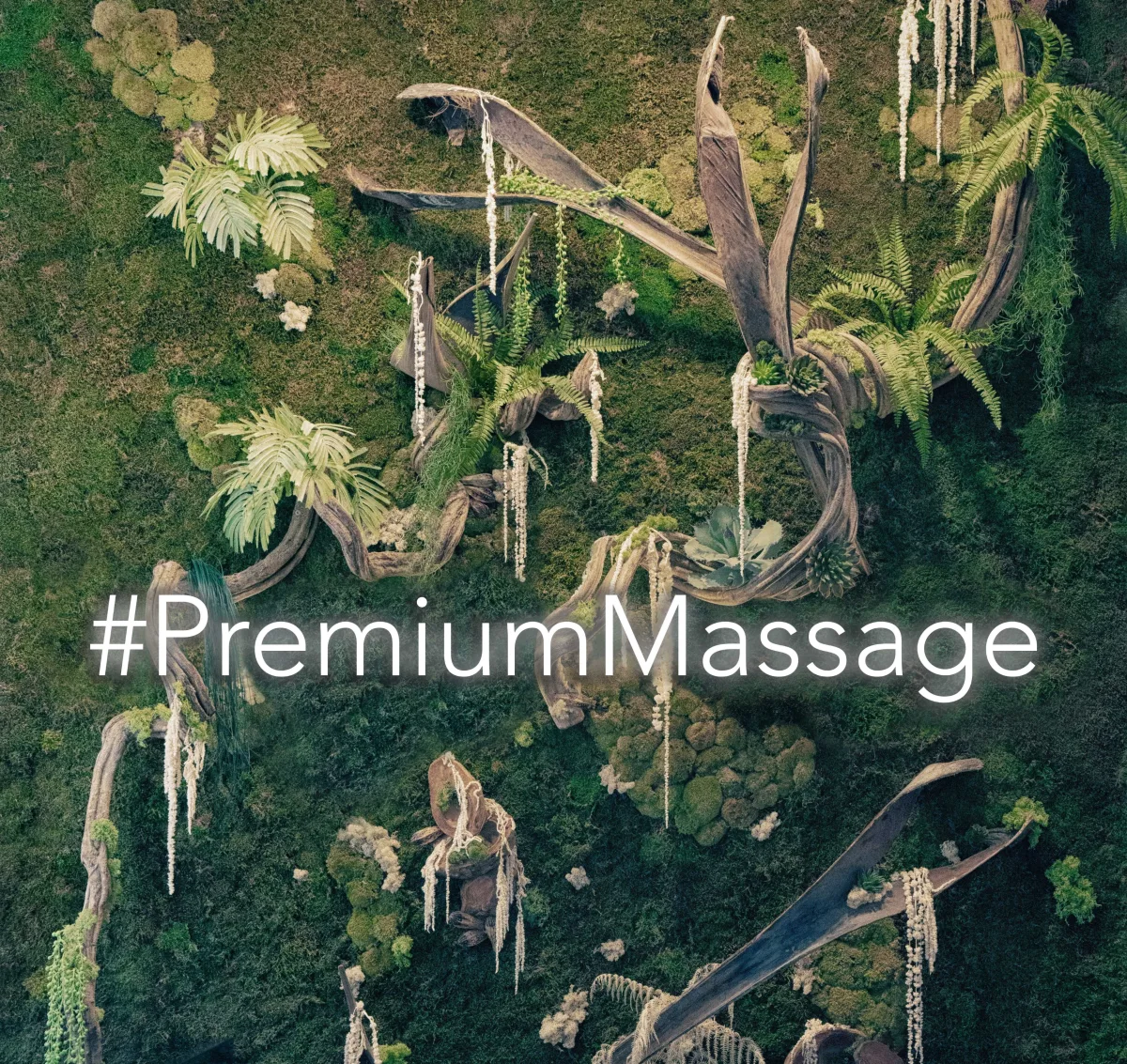 PREMIUM MASSAGE