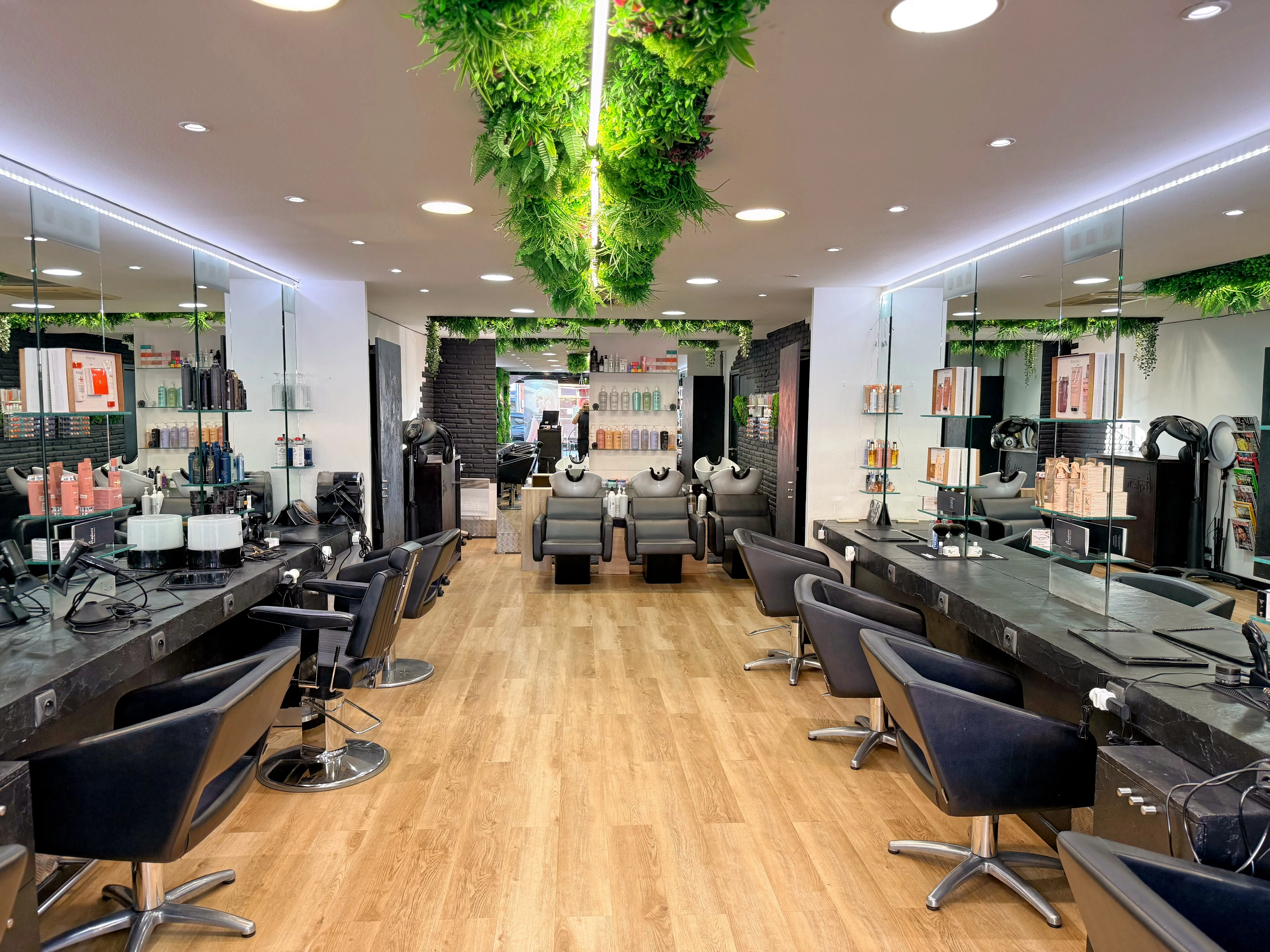 Stephan - Ramonville-Saint-Agne