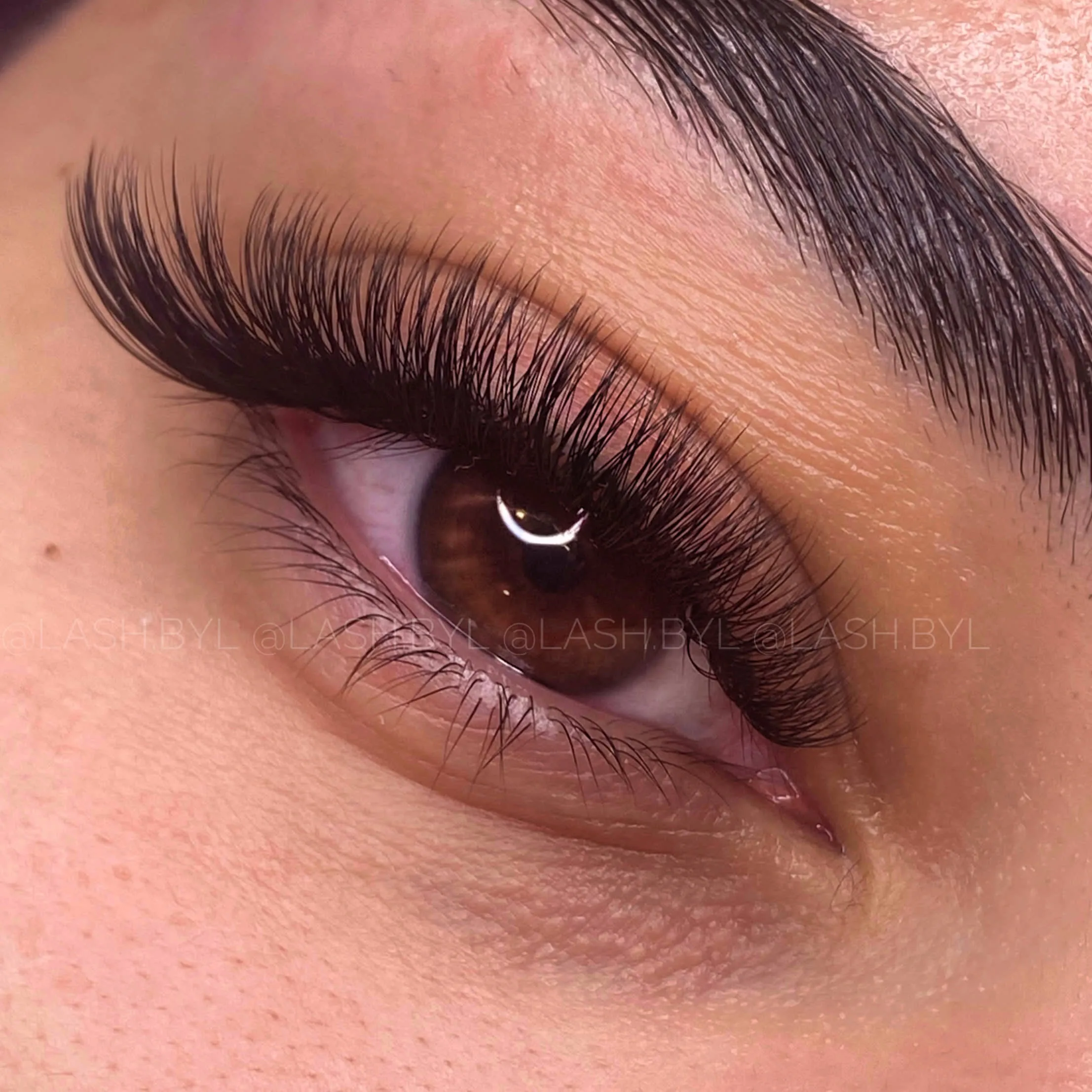 LASHBYL