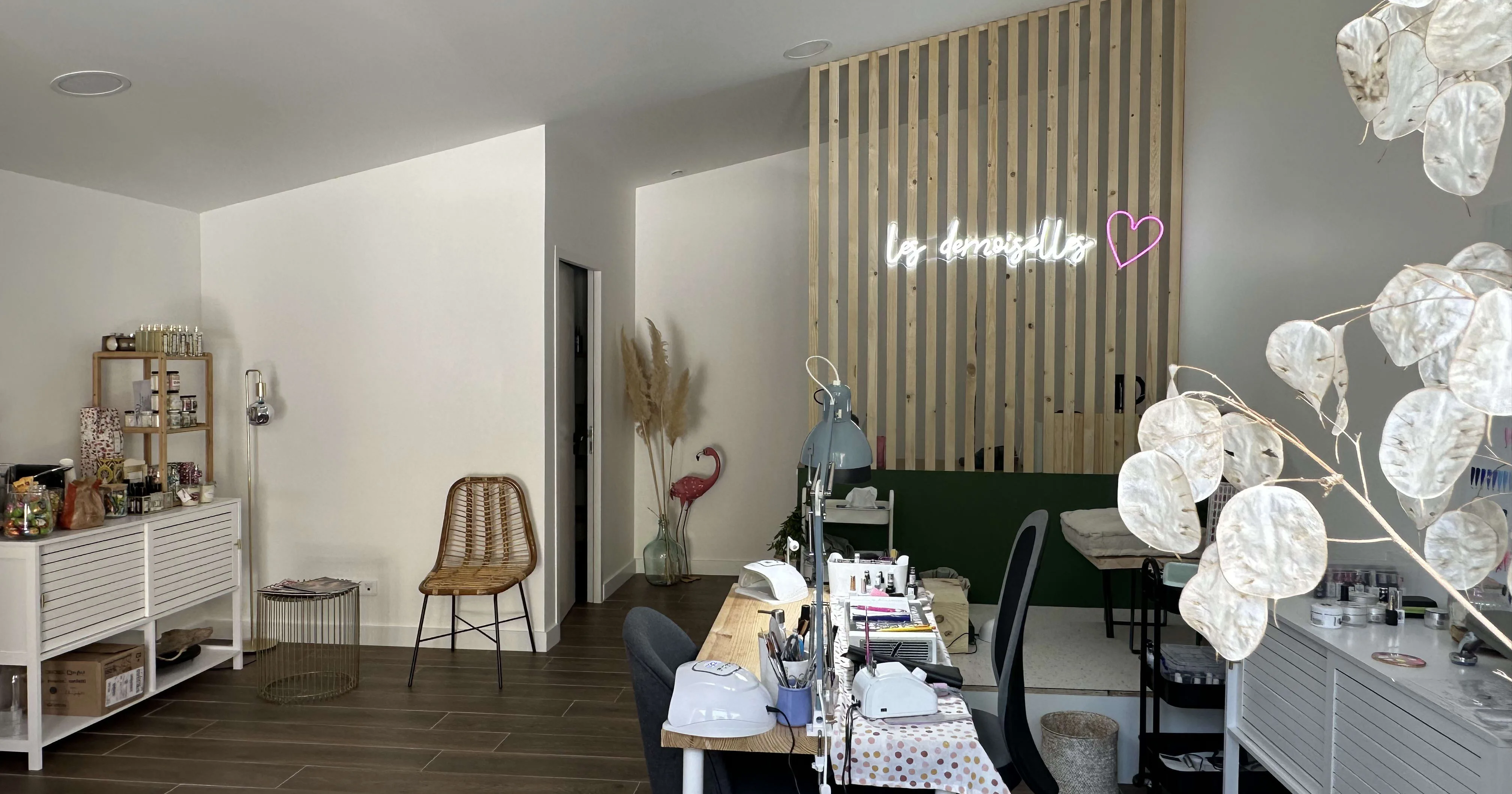 Les demoiselles by Jess