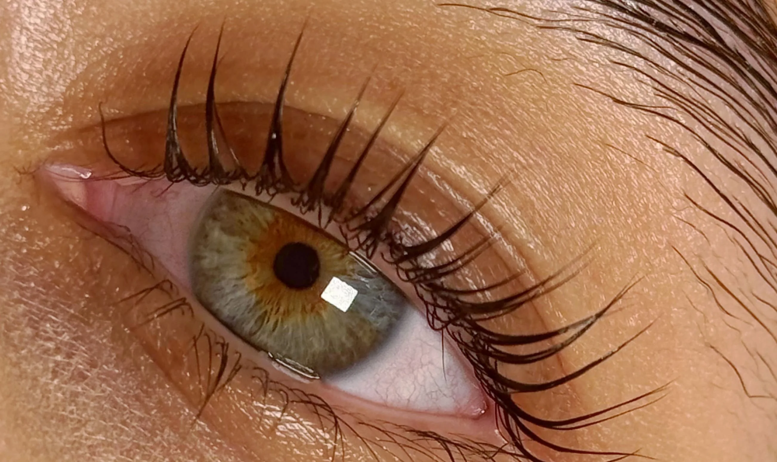 BAV Beauty Access Visagie