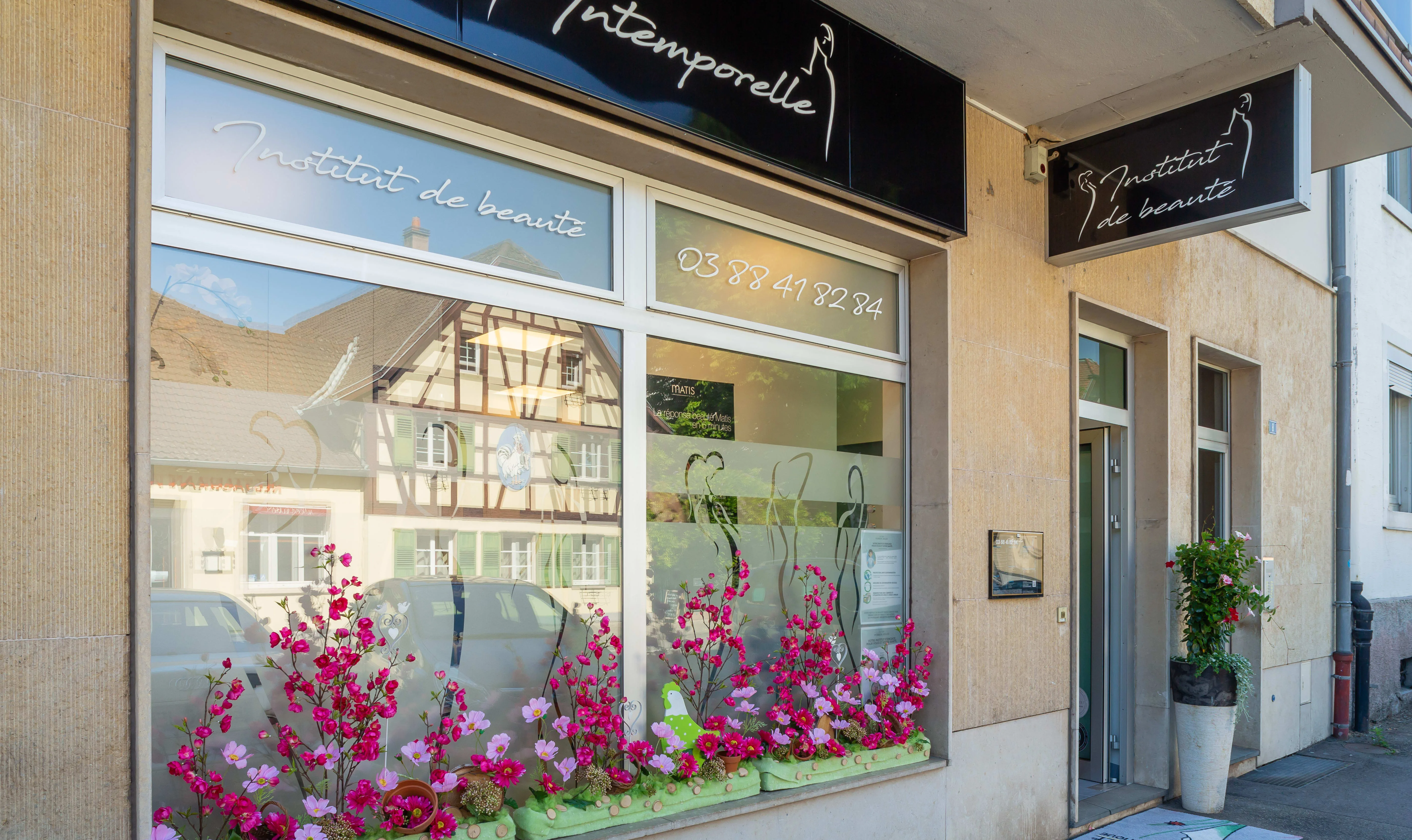 Institut Intemporelle