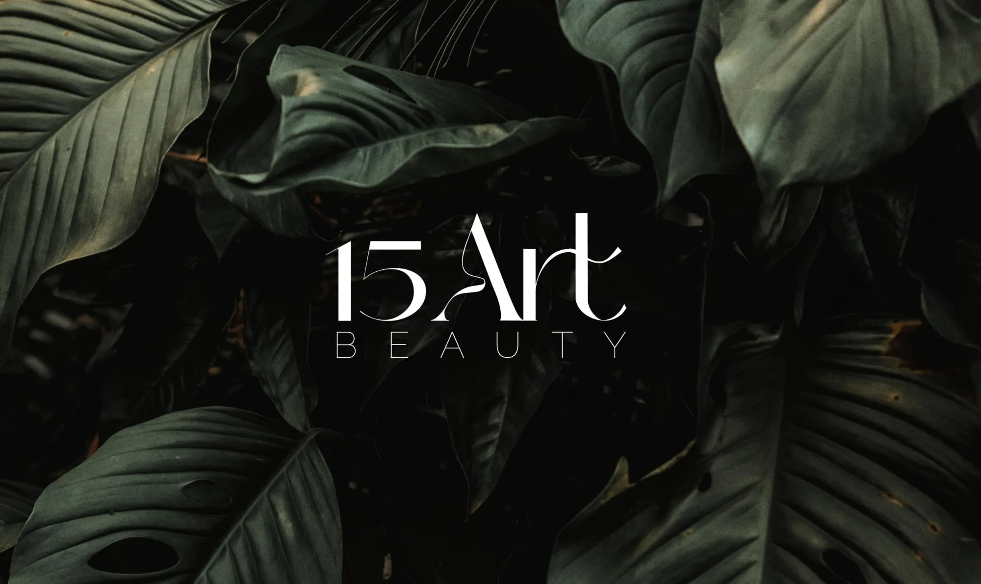 15 Art Beauty